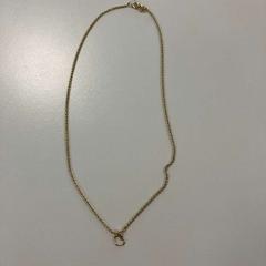 Naszyjnik, zgłoszono przez Gemeente Ede przy użyciu iLost