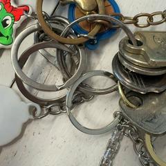 Keys, as reported by GVB using iLost
