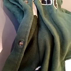 Vesta, ako bolo nahlásené Qbuzz GD Groningen HS pomocou iLost