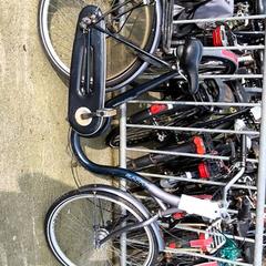 Women’s bike Ranger, as reported by Stadswerk072 using iLost