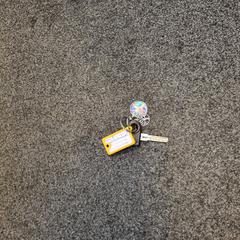 Sleutel, ha sido reportado por Blauwnet Zwolle con iLost