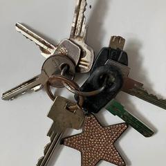 Sleutelbos, jak bylo nahlášeno na iLost