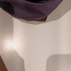 Sac à dos, a été signalé par De Efteling utilisant iLost