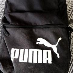 Rugtas Puma, amint azt Arriva Vechtdallijnen az iLost segítségével jelentette.