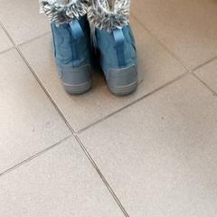 Roba - botten, segons ha informat Regio Antwerpen - Brussel mitjançant iLost