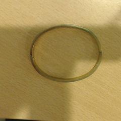 Armband, gemeldet von Walibi Holland über iLost