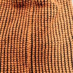 Beanie, amint azt Arriva Friesland / Groningen az iLost segítségével jelentette.