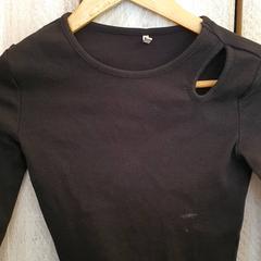 Truitje Zwart, ha sido reportado por DierenPark Amersfoort con iLost