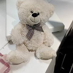 Oso de peluche, segundo informou IKEA Toulouse usando iLost