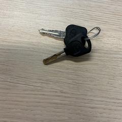 Fahrradschlüssel, gemeldet von Gemeente Arnhem über iLost