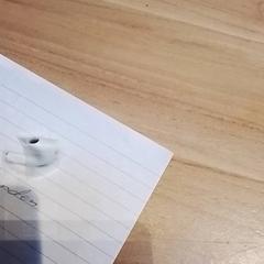 エアポッド がiLostで Beekse Bergen Resorts en Hotel によって報告されました