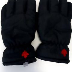 Guanti, come riportato da Arriva Limburg Zuid utilizzando iLost