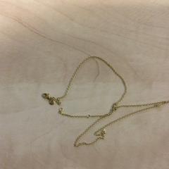 Naszyjnik, zgłoszono przez Haaglanden Medisch Centrum przy użyciu iLost