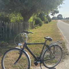Blauwe Helicon Marathon fiets, as reported to iLost
