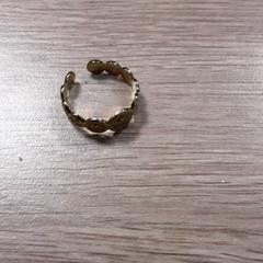 Eraztuna, gisa salatu by LUMC iLost erabiliz