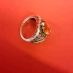 Ring, zoals gemeld door UvA REC met iLost