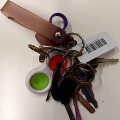 İLost kullanarak Gemeente Hilversum tarafından bildirildiği gibi Sleutelbos