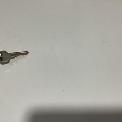 Kľúčenka - 151225 BIDF, ako bolo nahlásené Ziggo Dome pomocou iLost