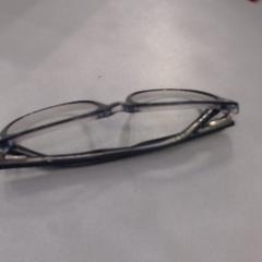 Bril، كما تم الإبلاغ عنه بواسطة Walibi Holland عبر iLost