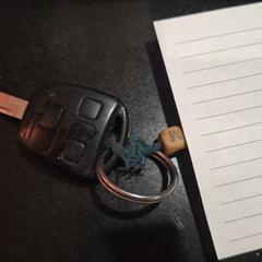 Autosleutel, segons s'ha informat a iLost