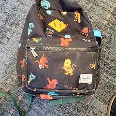 Rugtas Herschel がiLostで Connexxion Haarlem IJmond によって報告されました