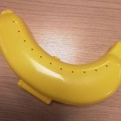 Vassoio Banaan, come riportato da Qbuzz Fryslân utilizzando iLost