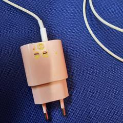 Telefoon oplader, zoals gemeld door UvA REC met iLost
