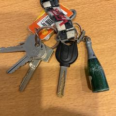 Chaveiro, segundo informou Gemeente Amsterdam - Bureau Gevonden Voorwerpen usando iLost