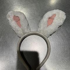Diadem kaninöron, como reportado por IKEA Kållered utilizando o iLost