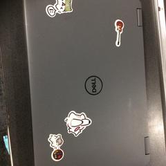 노트북 Dell, iLost를 사용하여 Breng Nijmegen에 보고됨