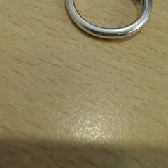 Ring Zilver, zoals gemeld door Walibi Holland met iLost