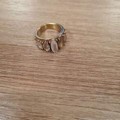 반지, iLost를 사용하여 Breda University of Applied Sciences Mgr. Hopmansstraat에 보고됨