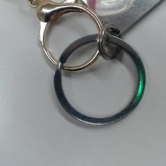 Nyckelring, rapporterat av Walibi Holland med iLost