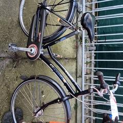 여성용 자전거 Gazelle, iLost를 사용하여 Stadswerk072에 보고됨