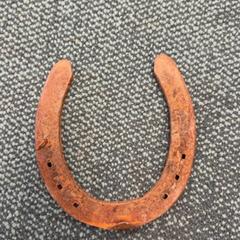 Hoefijzer, som rapportert av De Tovertuin ved bruk av iLost