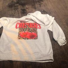 Sweater Grijs, as reported by De Heeren van Aemstel using iLost