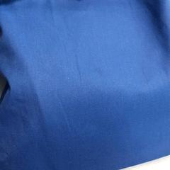 Handtas Blauw, a été signalé par Arriva Friesland / Groningen utilisant iLost