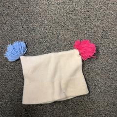 Beanie, jak nahlášeno Burgers' Zoo pomocí iLost