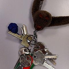 Giltzak, gisa salatu by Vrije Universiteit Amsterdam iLost erabiliz