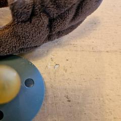 Cudowny policzek & Smoczek, zgłoszono przez Avonturenboerderij Molenwaard przy użyciu iLost