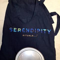 Tasje, amint azt Qbuzz DMG az iLost segítségével jelentette.