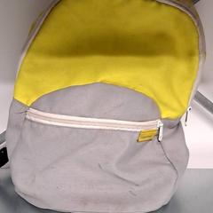 Batoh, jak nahlášeno Keolis Lund pomocí iLost