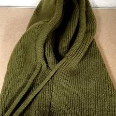 Muts Groen, zoals gemeld door Qbuzz GD Groningen Peizerweg met iLost