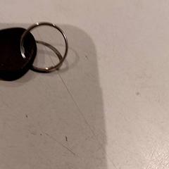 Chave, como reportado por De Efteling utilizando o iLost