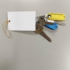 Sleutels, come riportato da Centraal magazijn utilizzando iLost