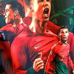 Sack, gemeldet von Syntus Provincie Utrecht über iLost