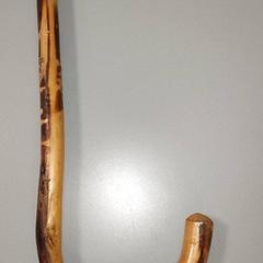 Medicintekniska produkter - Wandelstok, rapporterat av Regio Antwerpen - Brussel med iLost