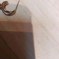 Fülbevaló, amint azt Beekse Bergen Resorts en Hotel az iLost segítségével jelentette.