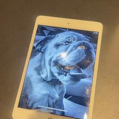 Ipad Wit, as reported by Van der Valk Hotel Veenendaal using iLost
