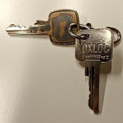 Kľúče, ako bolo nahlásené Gemeente Hilversum pomocou iLost